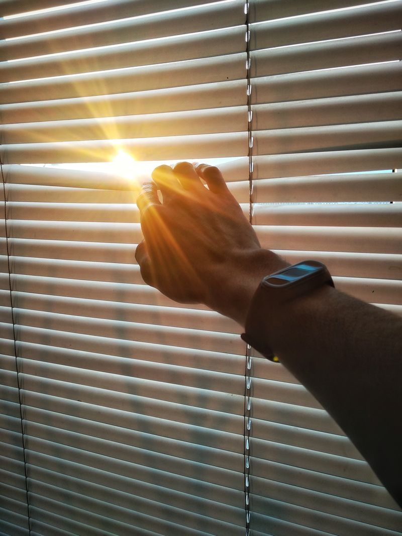 Window blinds with sunlight
